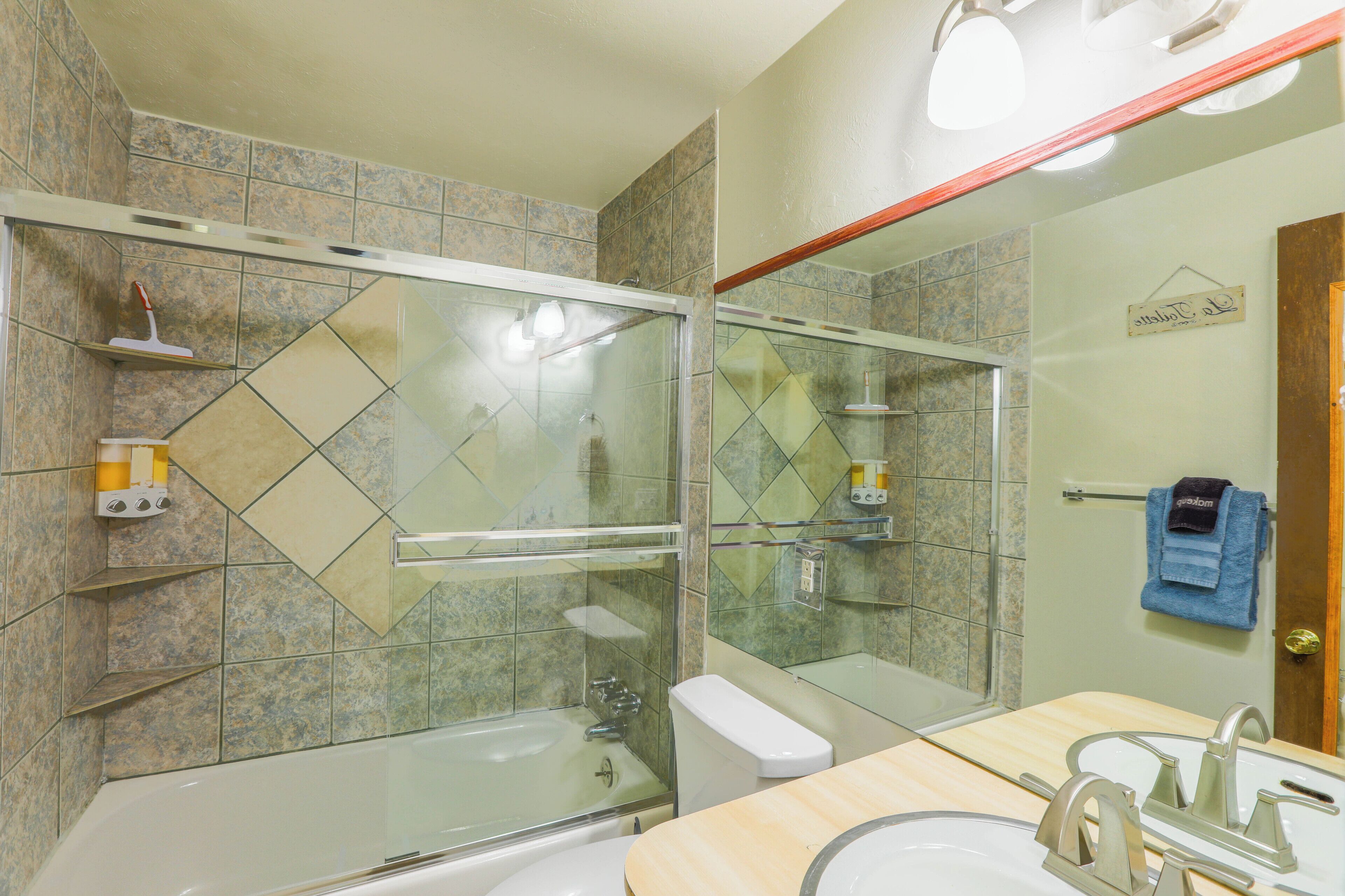 Hair dryer, towels, soap, shampoo