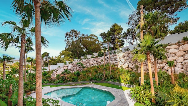 A swimming pool surrounded by tropical plants and a stone wall. - Luxury Pool View 3-bedroom, 2 bathrooms, 5-min to Train, Elevator (Tangier)