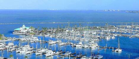 Marina