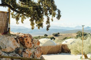 Àrea exterior de l'allotjament