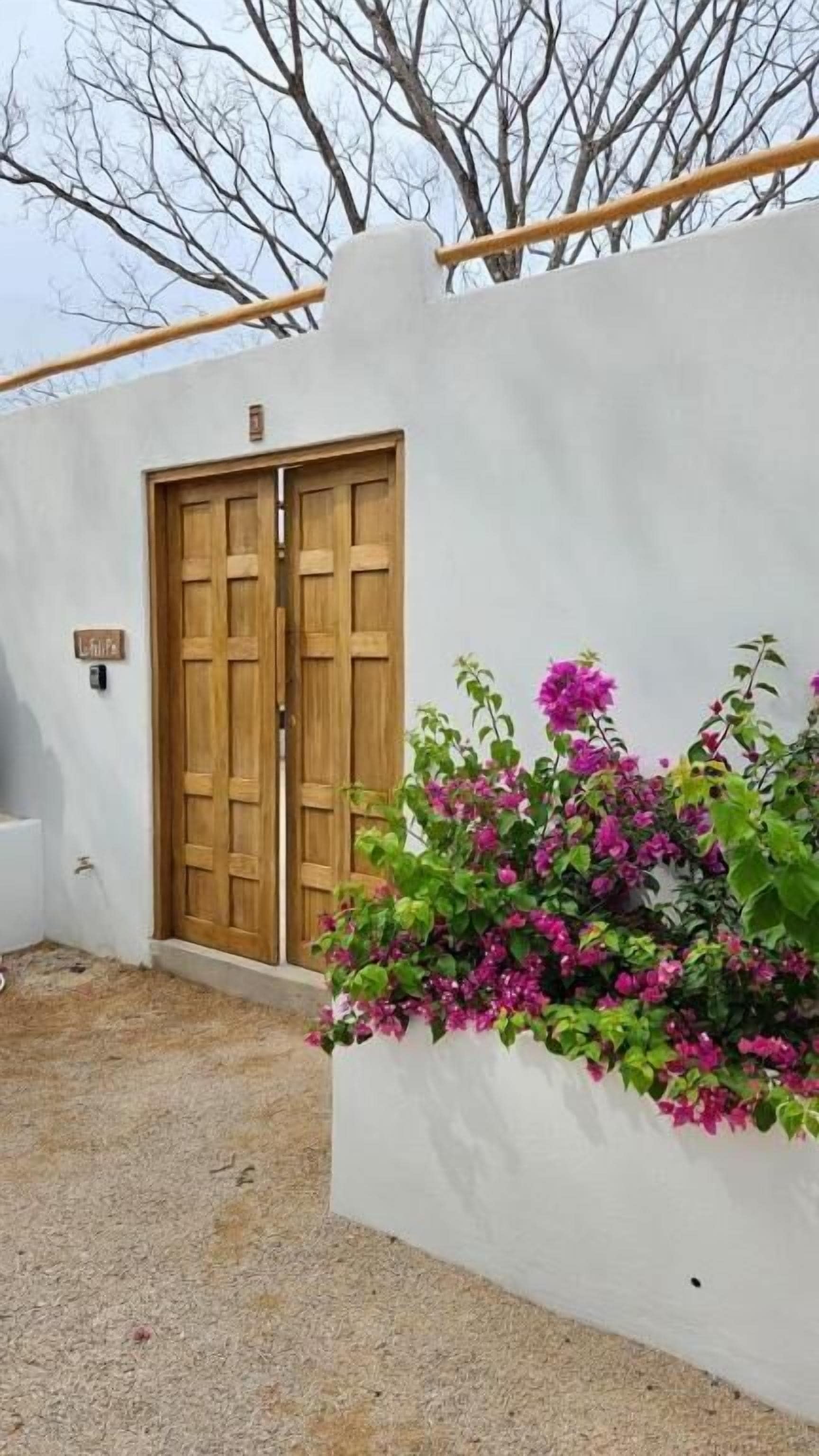 Un bâtiment blanc avec une porte en bois et un jardinier orné de fleurs roses.