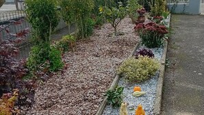 A garden with a variety of plants and a gravel path. - Apartment 44 m2 Located in a quiet village.  Shops nearby. (Kesseldorf)
