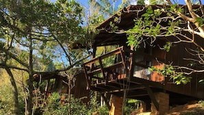 Une construction rustique en bois, dotée d’un balcon, entourée d’une végétation luxuriante et d’arbres.