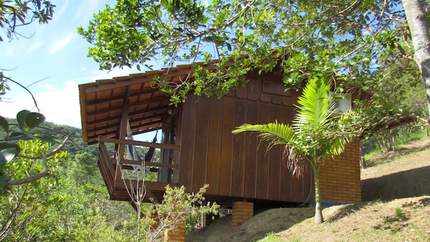 Un chalet rustique en bois, doté d’un toit incliné, entouré d ’une végétation luxuriante et d’arbres.
