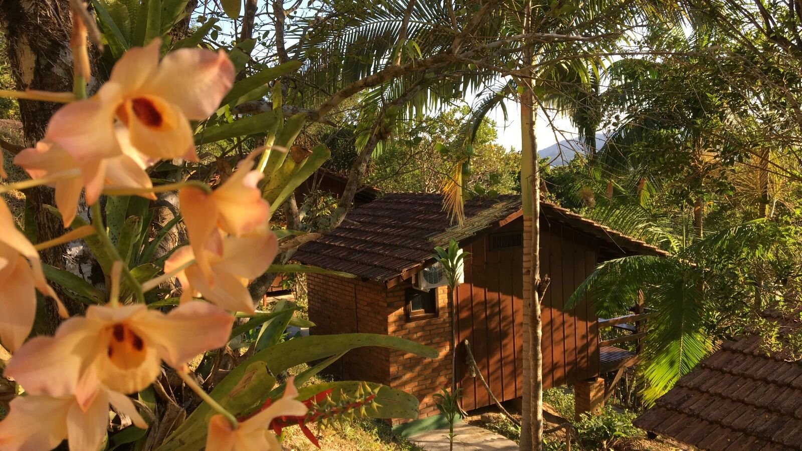 Cabana clássica | Wi-Fi de cortesia