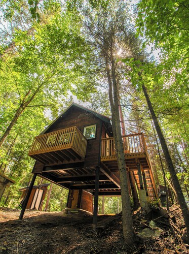Haus in the Trees
