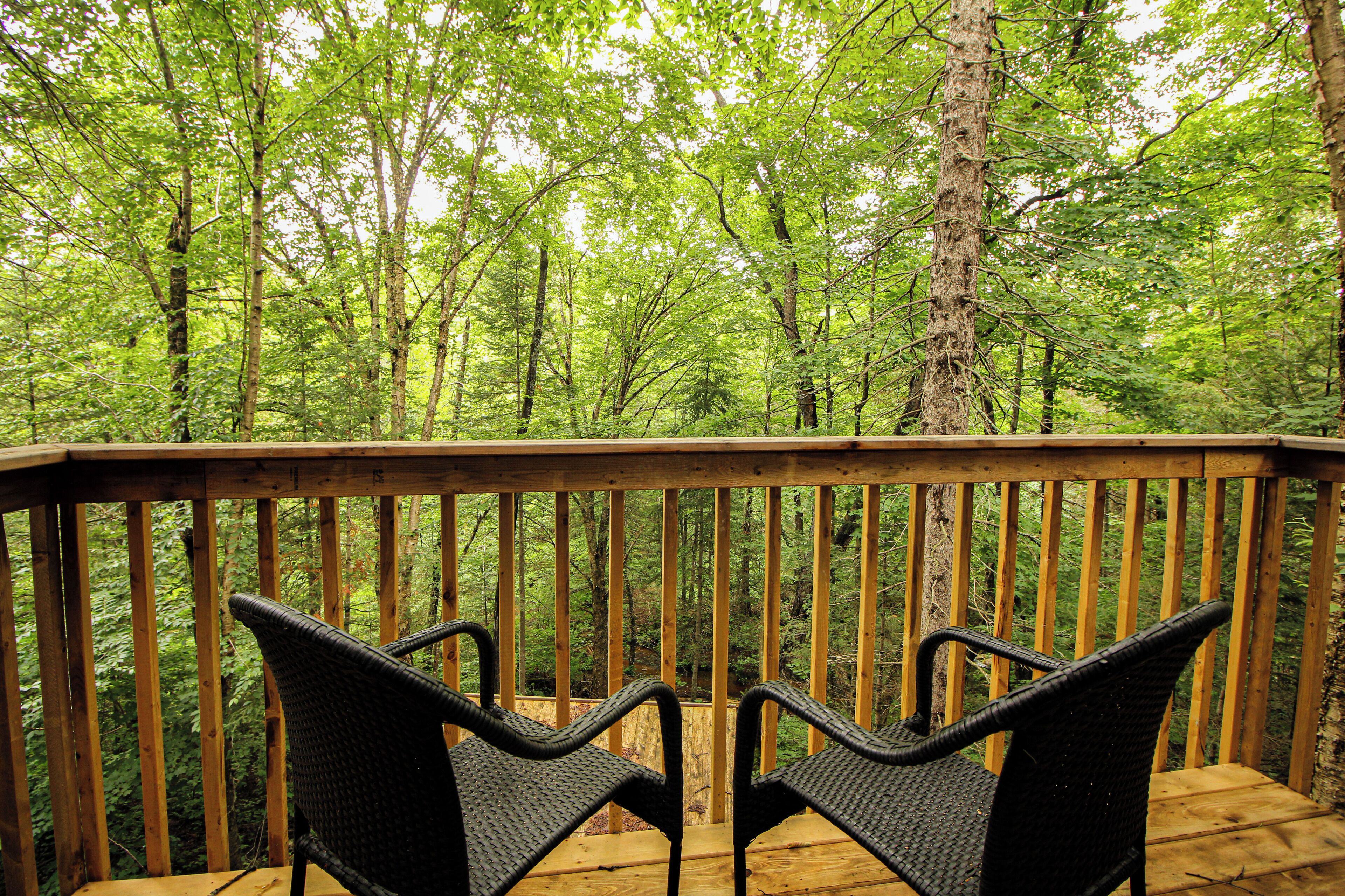 Terrain de l’hébergement 