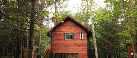 A wooden cabin with a gravel driveway, surrounded by trees.