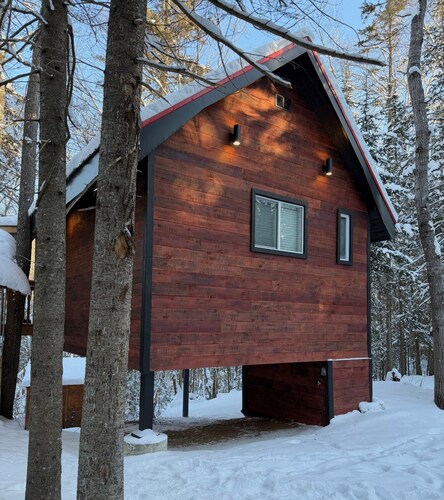 Haus in the Trees