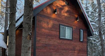 Haus in the Trees