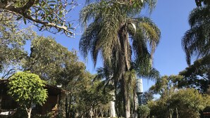 A well-maintained park with various trees, a water feature, and a stone bench. - Property with tennis court and soccer field, 70km from São Paulo. (Itupeva)