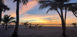 Ein Strand mit Palmen und einem Sonnenuntergang.