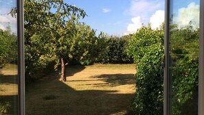 Vista desde una habitación con ventanas amplias, que muestra un césped, un árbol y follaje denso.
