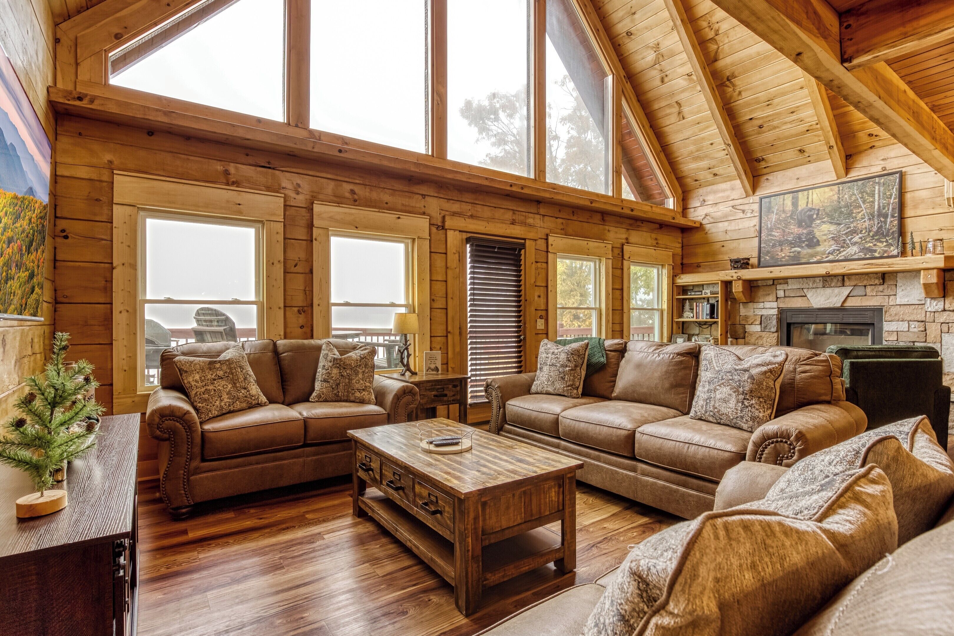 Smart TV, chimenea, videojuegos y libros 