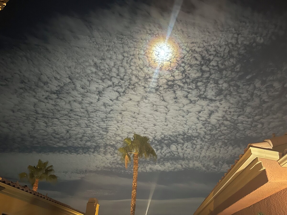 Imagen de perfil del propietario o de la propietaria