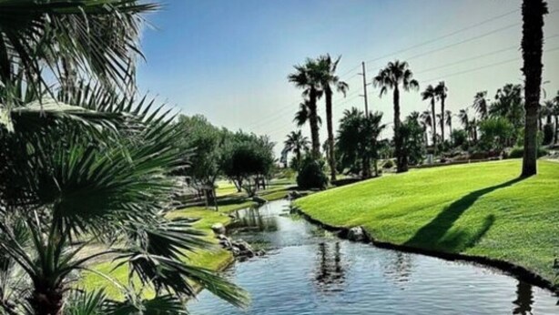 A serene waterway with palm trees and a grassy area.