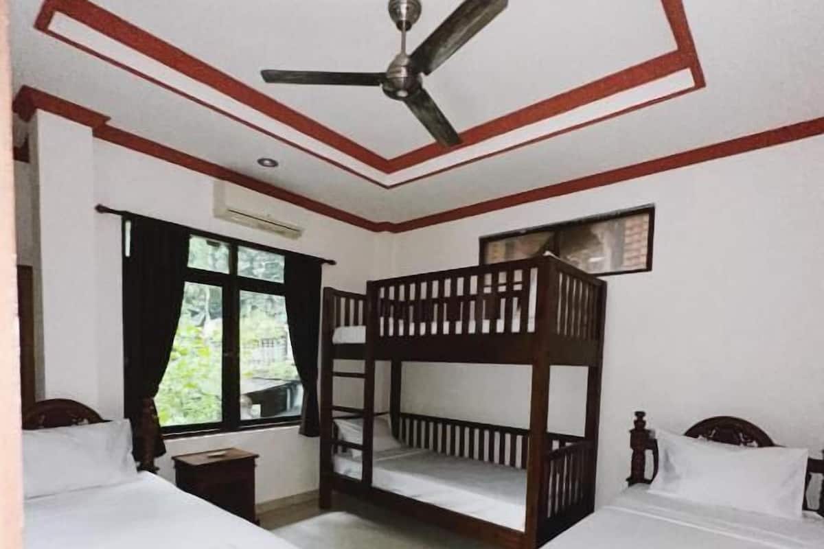 Cortinas blackout y wifi gratis