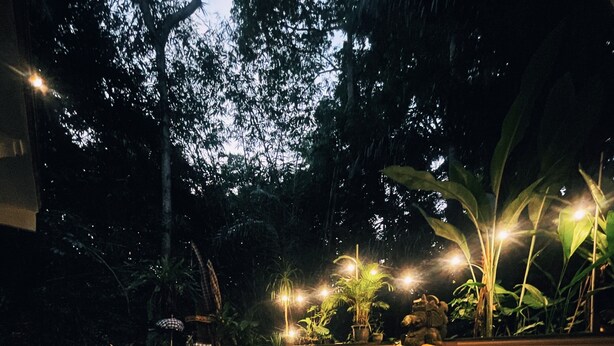 A nighttime outdoor pool area with a stone border, potted plants, and ambient lighting. - The Nest in Ubud (Ubud)