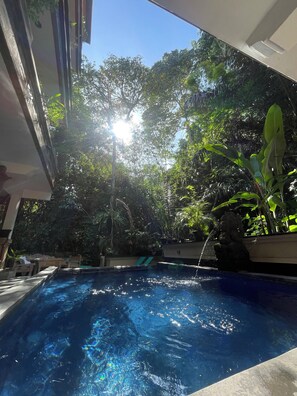 Outdoor pool - The Nest in Ubud (Ubud)