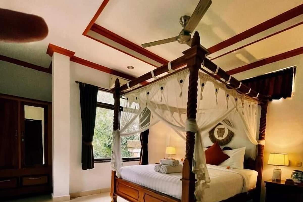 Cortinas blackout y wifi gratis