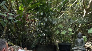 A person reading on a bench with a laptop and books nearby, surrounded by greenery and a statue. - The Nest in Ubud (Ubud)