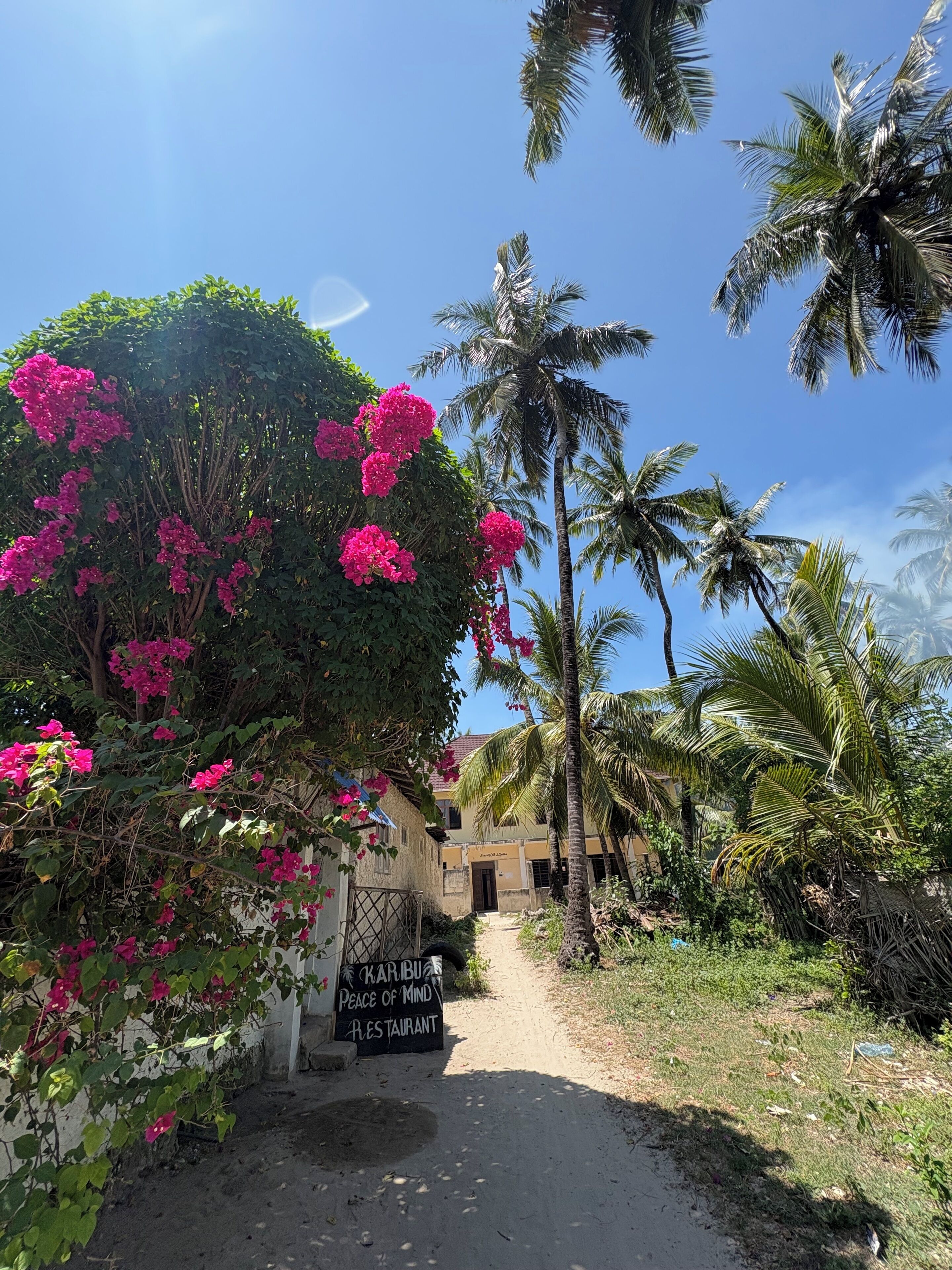 Enceinte de l’hébergement