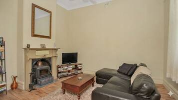 TV, fireplace, DVD player, books