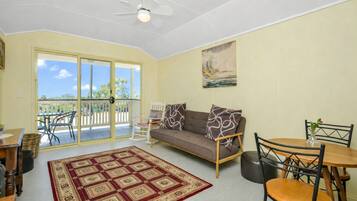 Télévision, cheminée, lecteur de DVD, livres