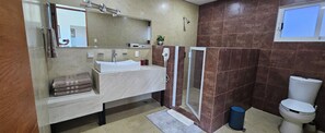 Douche, séchoir à cheveux, serviettes fournies, savon