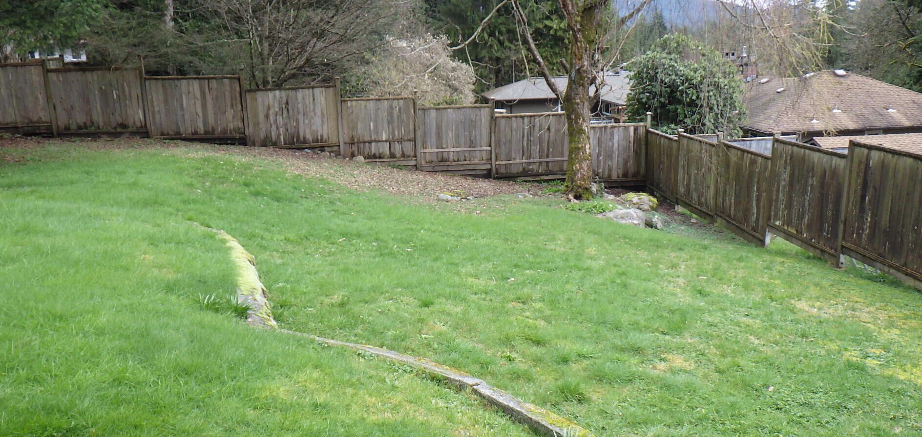 Un jardin avec une clôture en bois, une pelouse et un arbre.