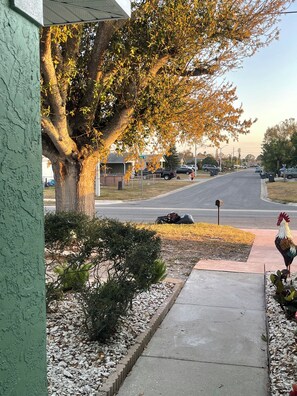 Terrain de l’hébergement 