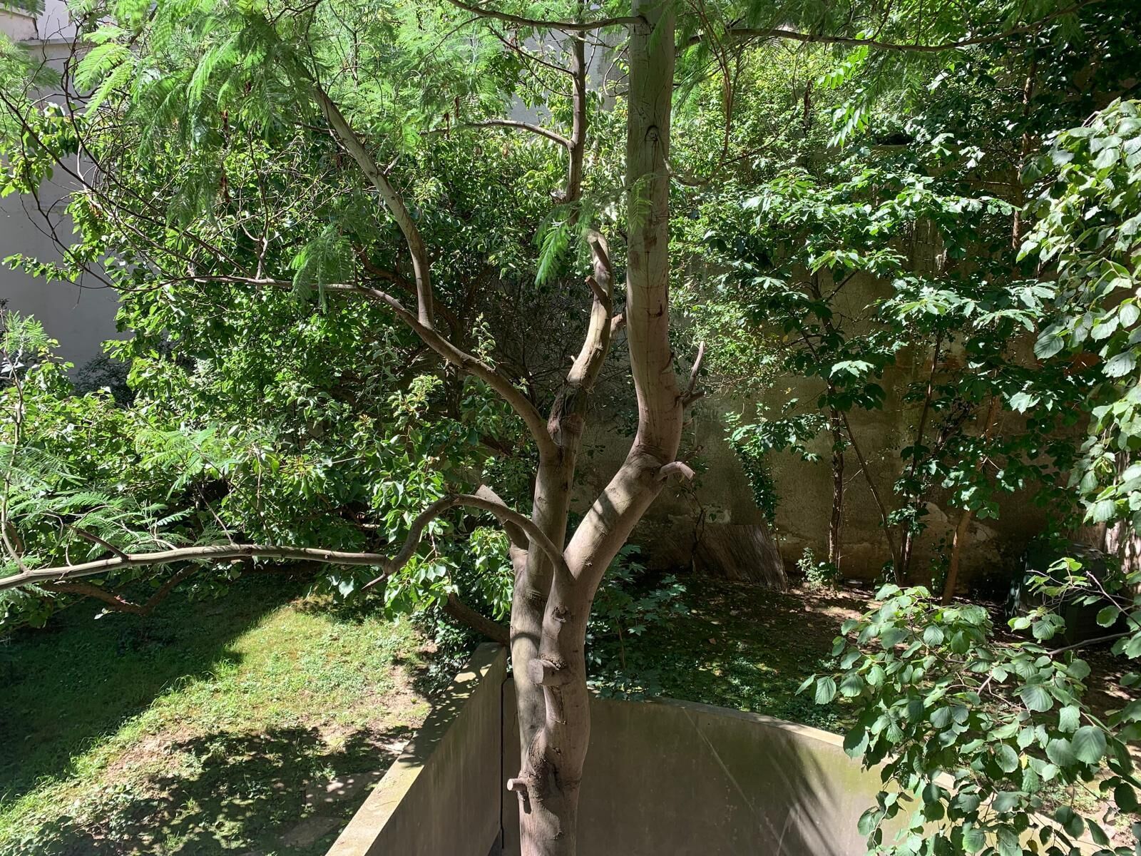 Parco della struttura