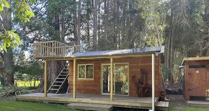 Secluded Redwood Cabin. Built from a redwood tree that blew down in a cyclone