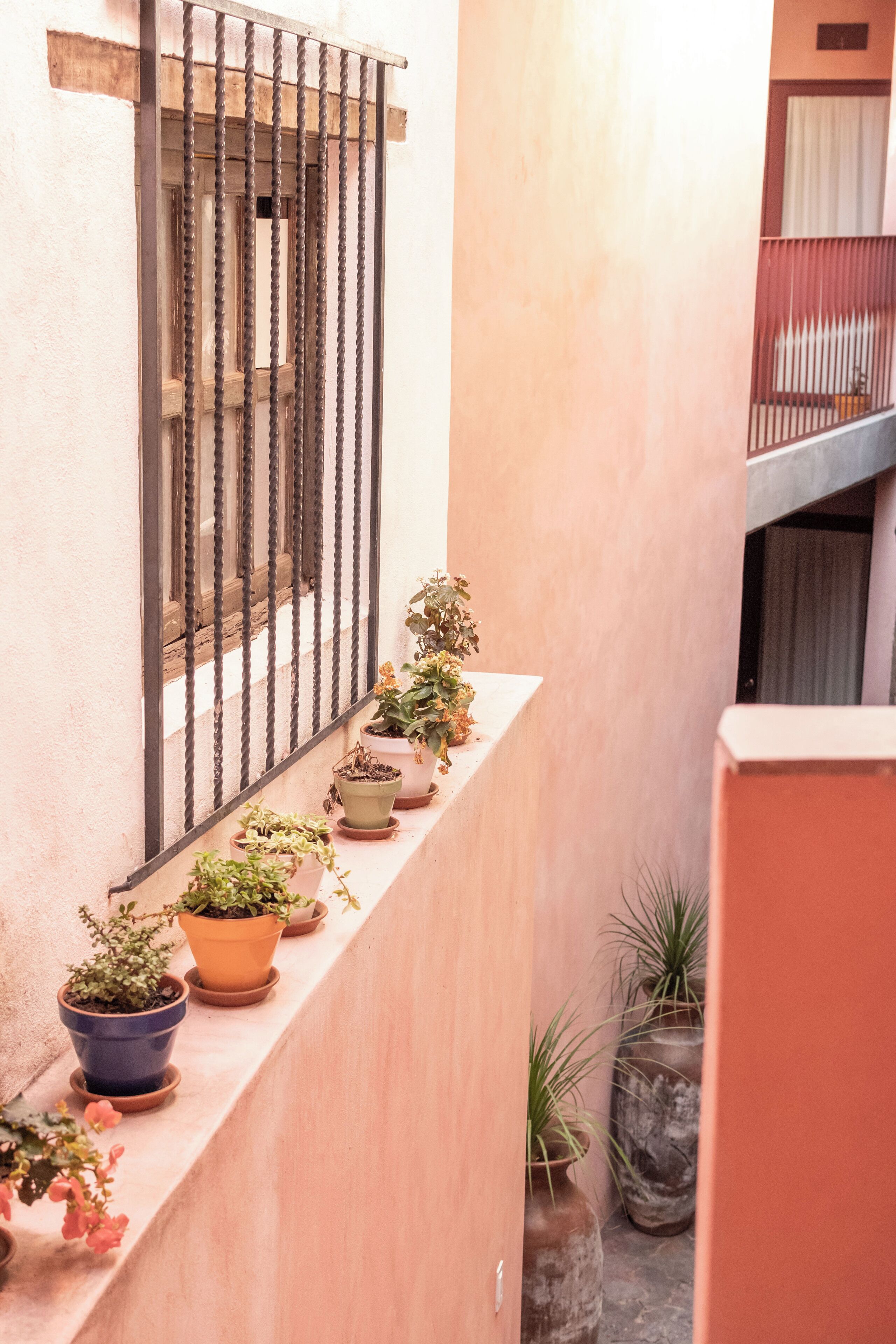 A narrow balcony with potted plants and a barred window.