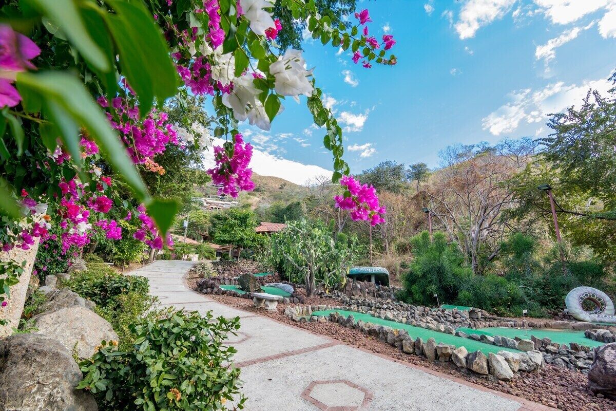 A pathway leading through a garden with vibrant pink flowers and green plants.