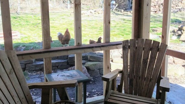 Un porche de madera con dos mecedoras y una mesa, con vista a un jardín lleno de gallinas.