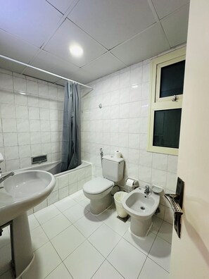 Hair dryer, bidet, towels, toilet paper