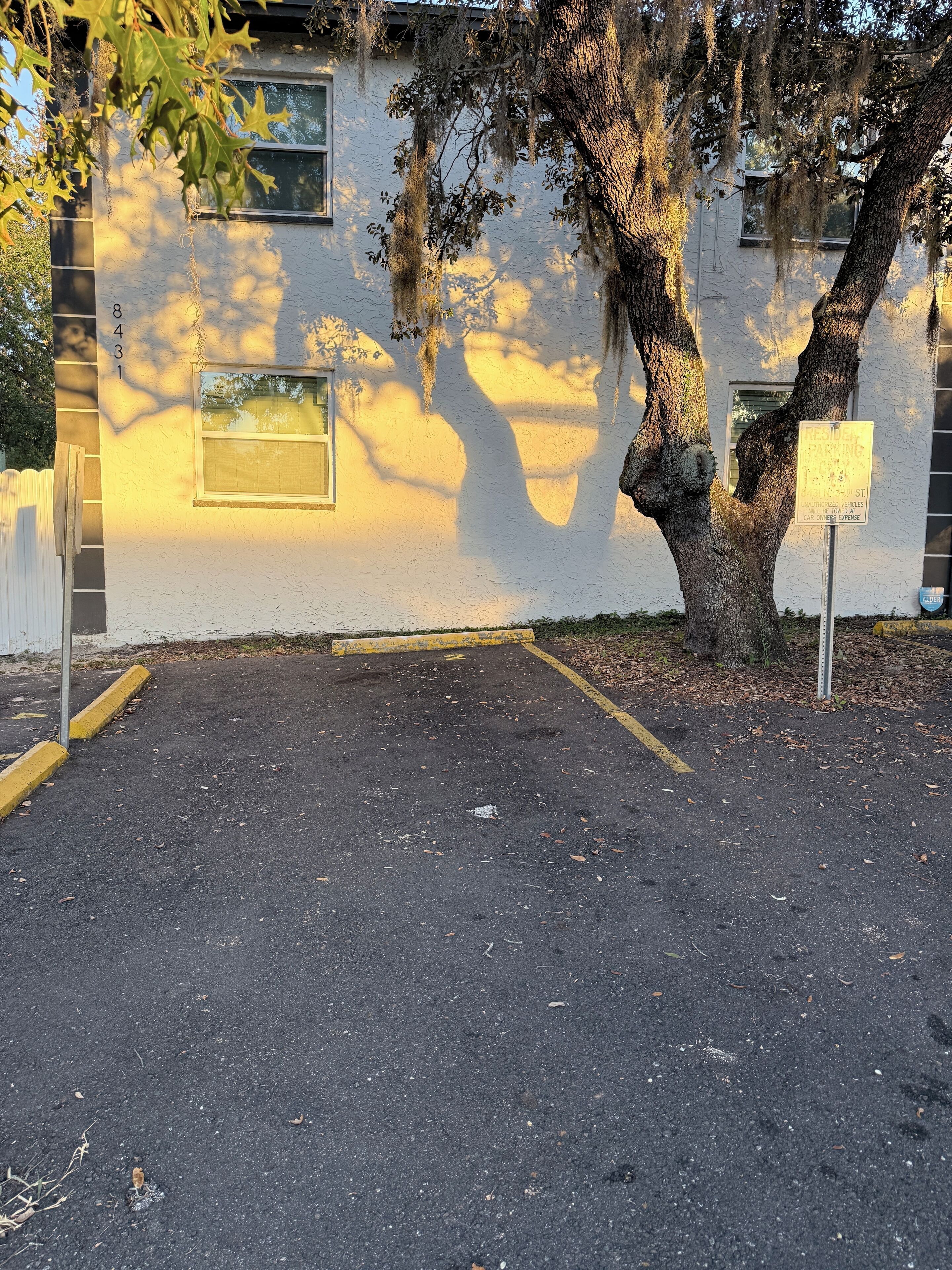 A parking lot with a white building in the background, a tree with Spanish moss, and a sign indicating parking restrictions.