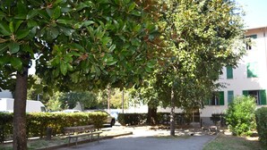 Un patio empedrado con un banco, un árbol y un edificio con contraventanas verdes.