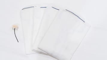 A white fan with a blue trim and a single feather.