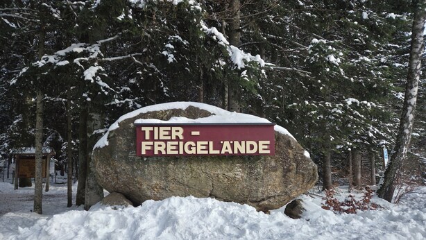 Ein großer Felsen mit einem Schild, auf dem 'TIER - FREIGELÄNDE' steht, umgeben von Schnee und Bäumen.