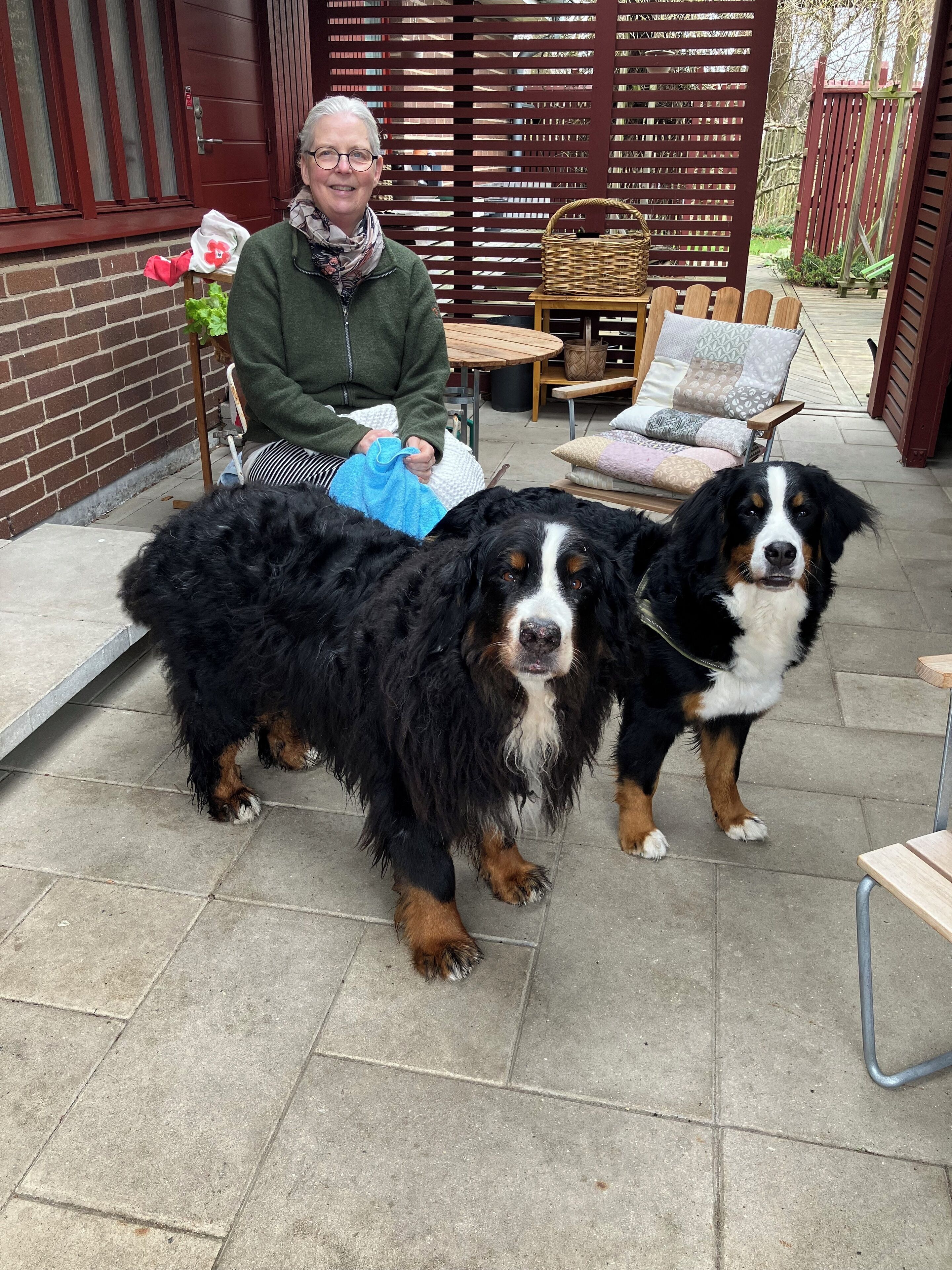 Área da propriedade