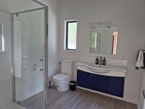 Shower, hair dryer, towels, soap