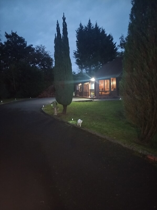 A modern house with a paved driveway, a well-maintained lawn, and a large tree in the foreground.