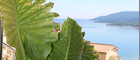 منوع