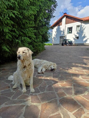 Alpendom Relax - Holiday home with garden and view of the Orobie Mountains