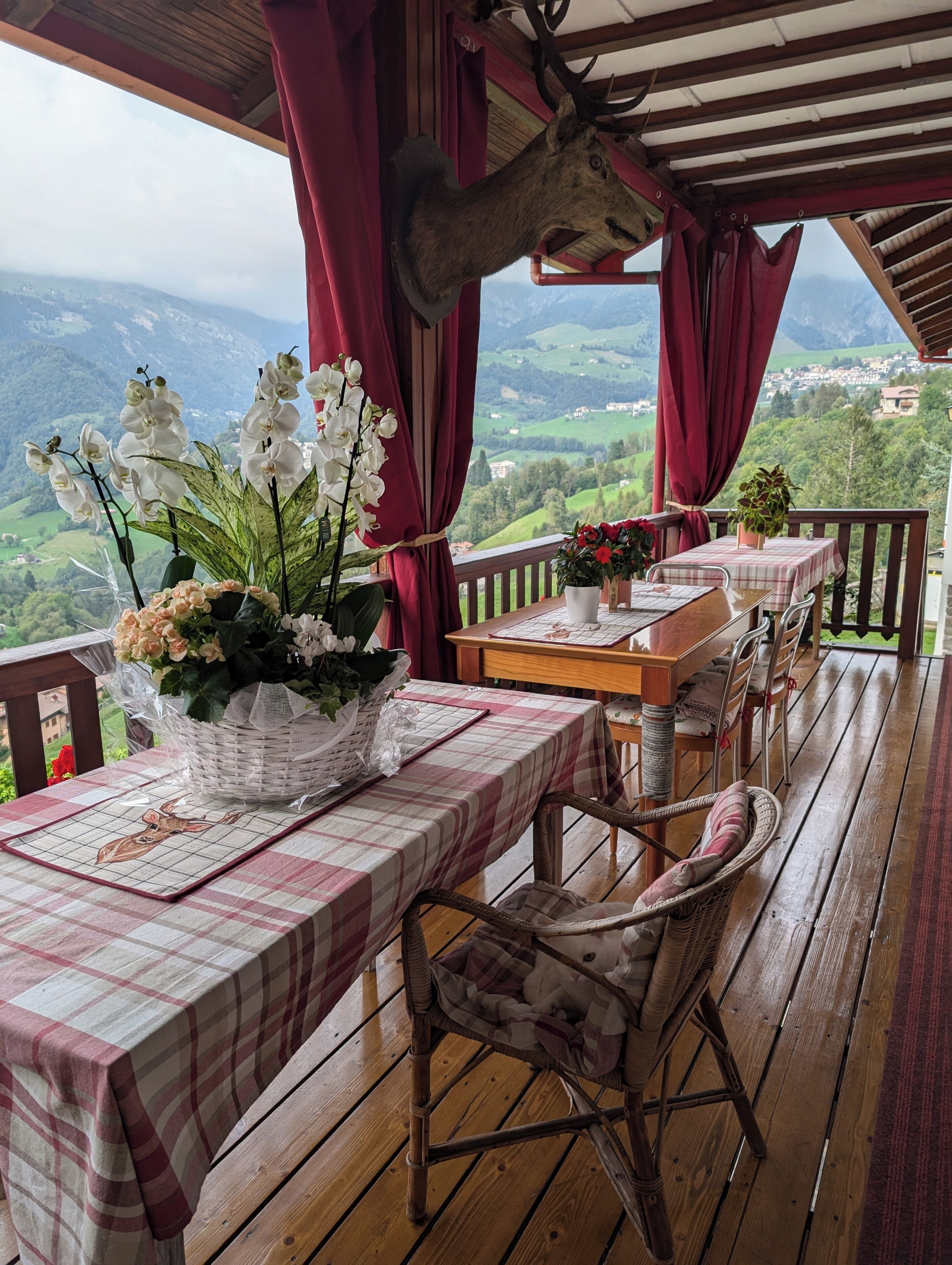 A wooden deck with a table set for dining, surrounded by wicker chairs, and a large deer head mounted on the wall.
