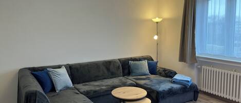 Fernseher