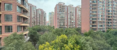 A high-rise residential building with multiple balconies and a dense green tree canopy in the foreground.