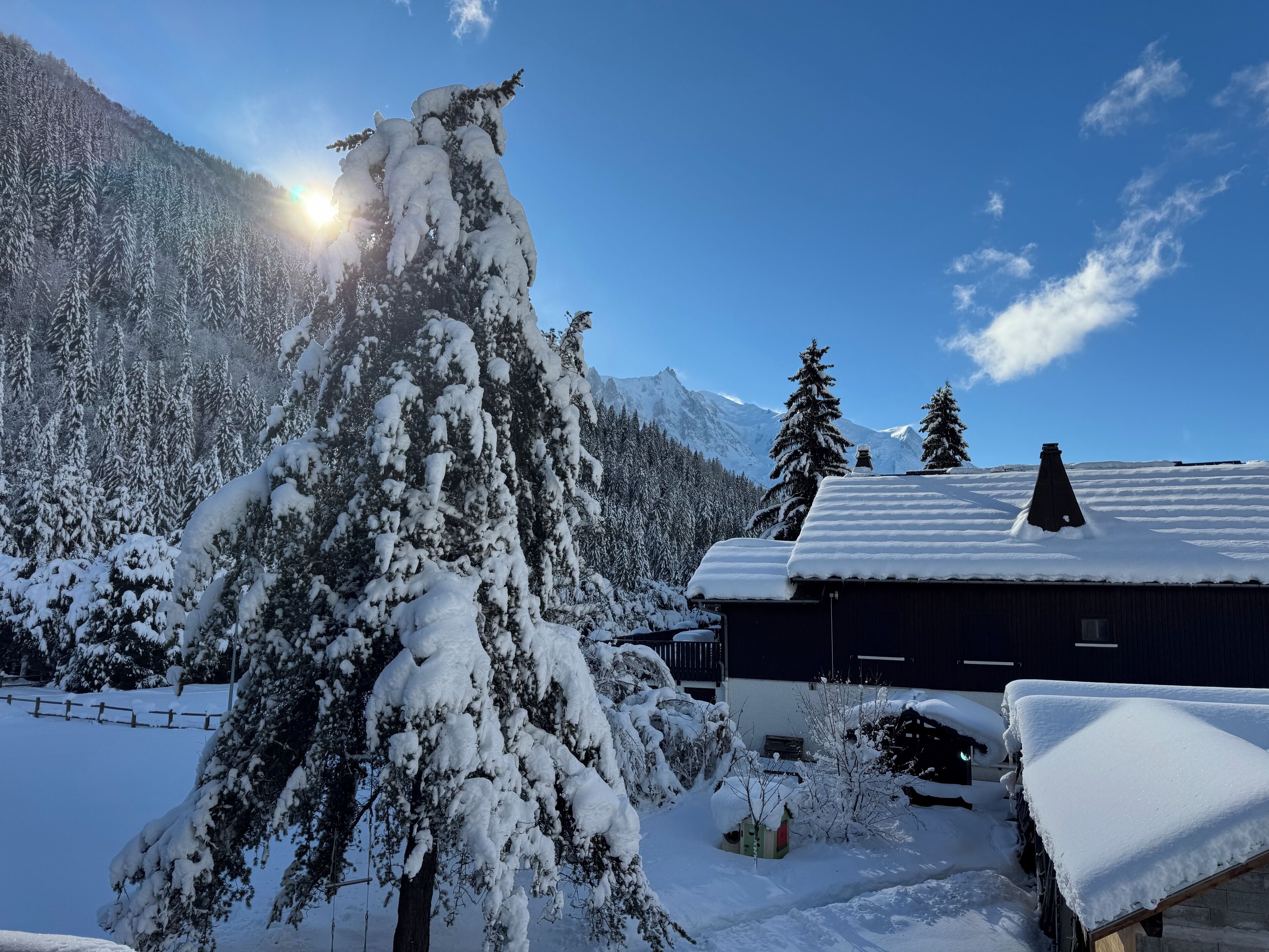 A snow-covered mountain landscape with a cabin and a tree in the foreground.